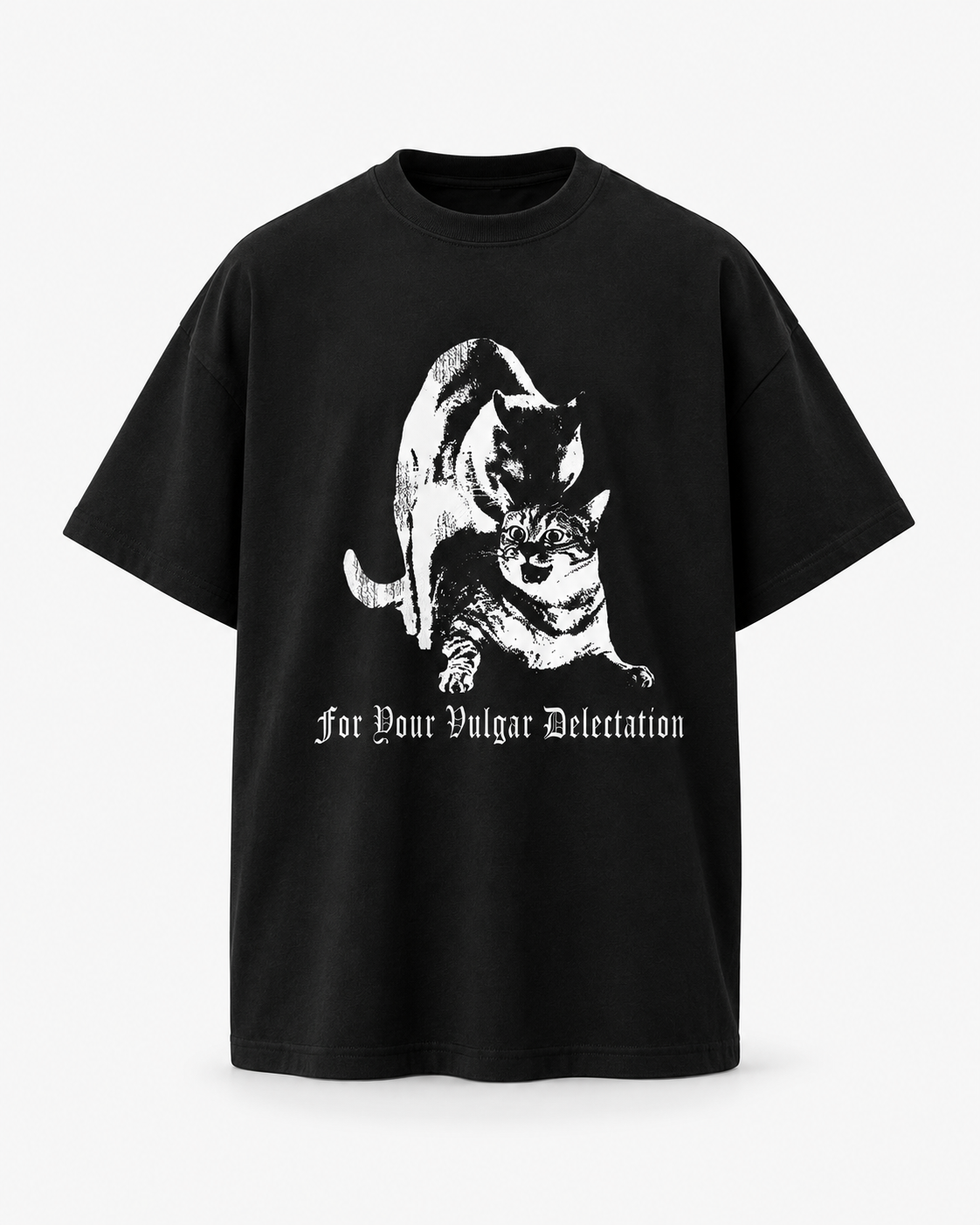 PLAYERA OVERSIZED - ALTERNATIVE WEAR - DESSSIRES - GATITOS
